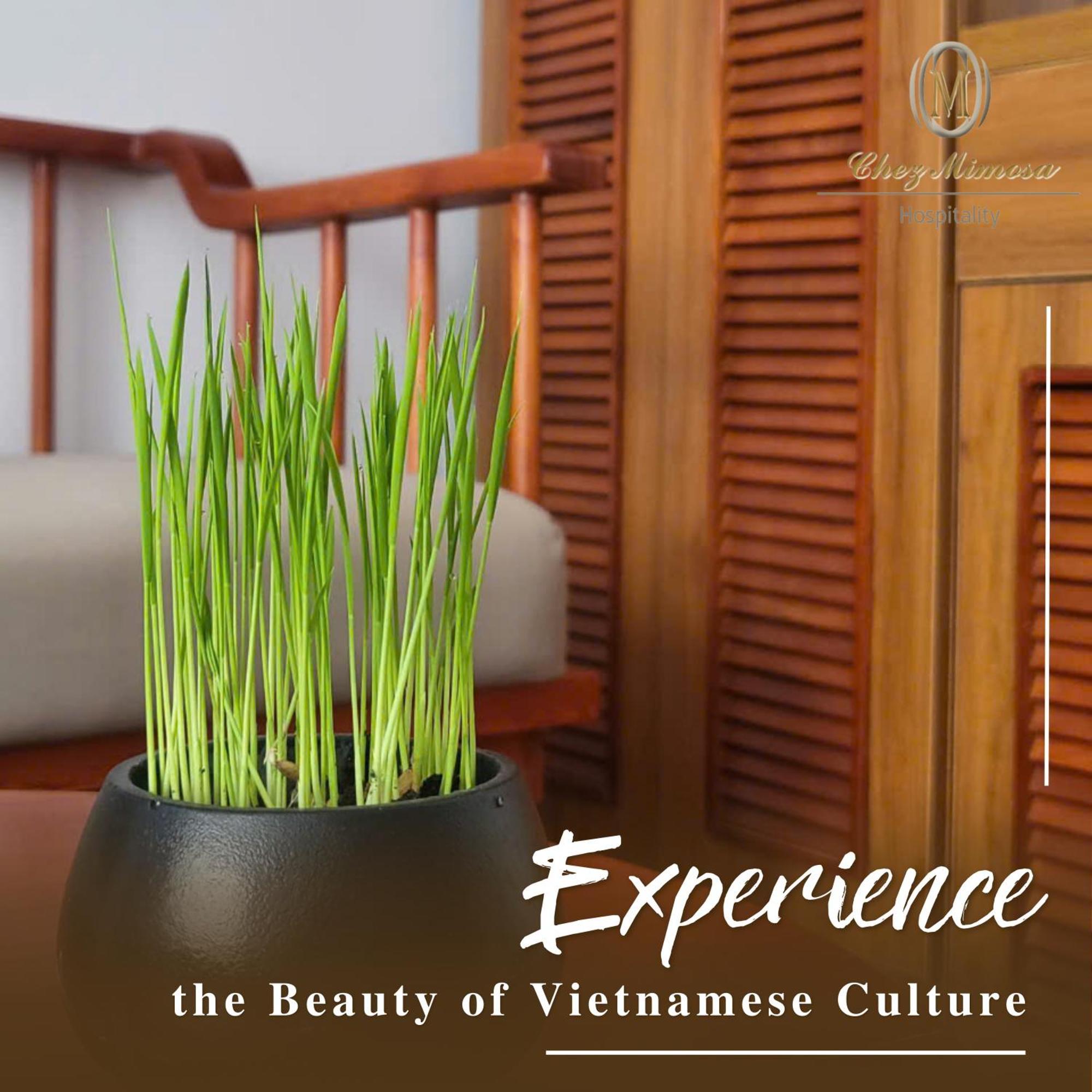 Chez Mimosa Homestay Hô Chi Minh-Ville Extérieur photo
